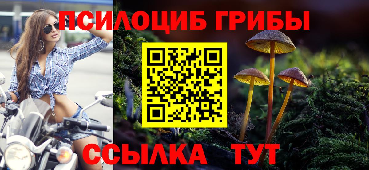 Псилоцибиновые грибы GOLDEN TEACHER Удомля